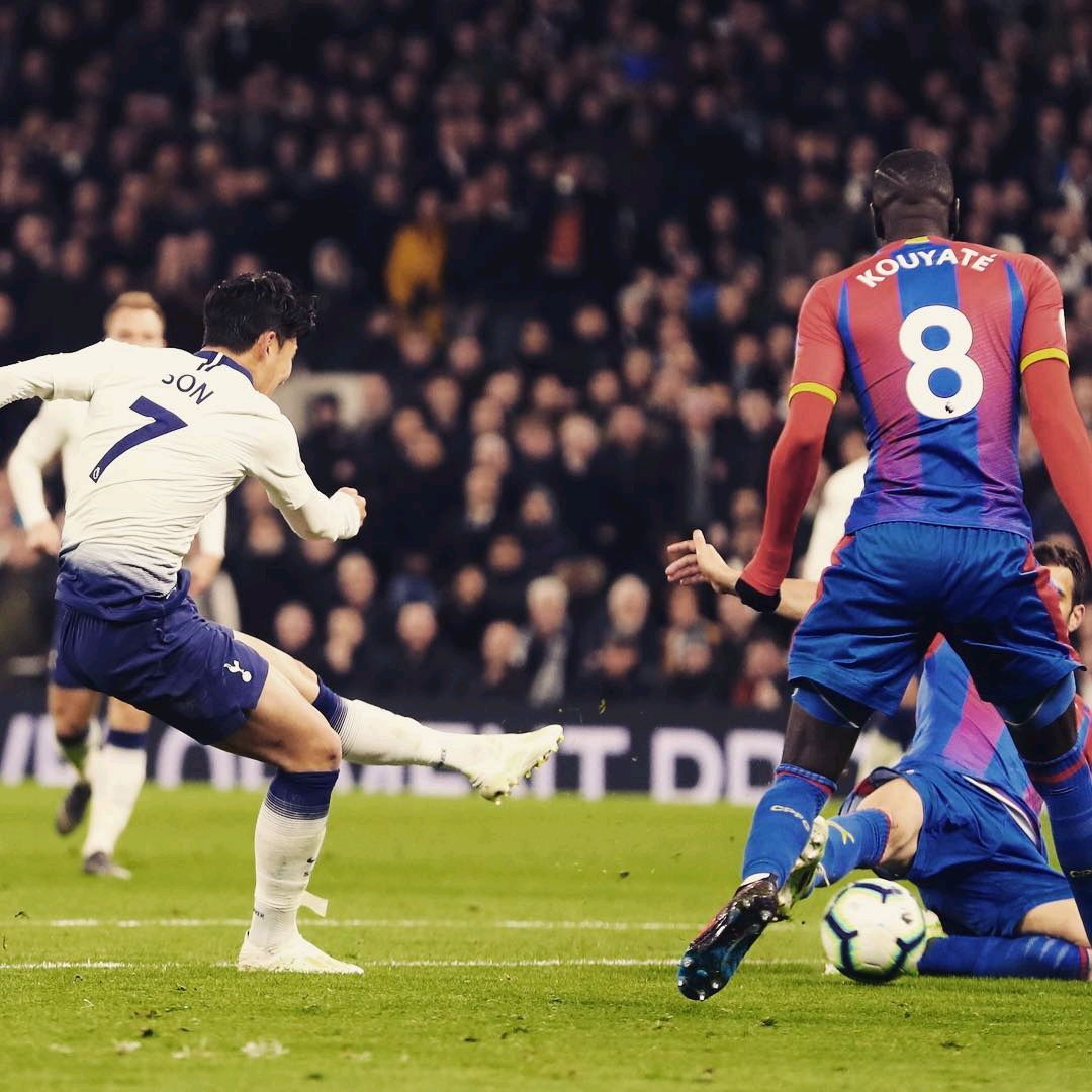 球迷們需要 球迷們需要